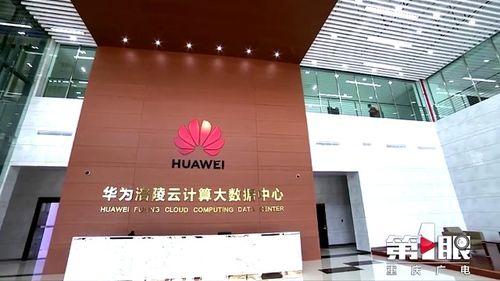 重庆涪陵新闻爆料电话,聚焦民生动态  第3张